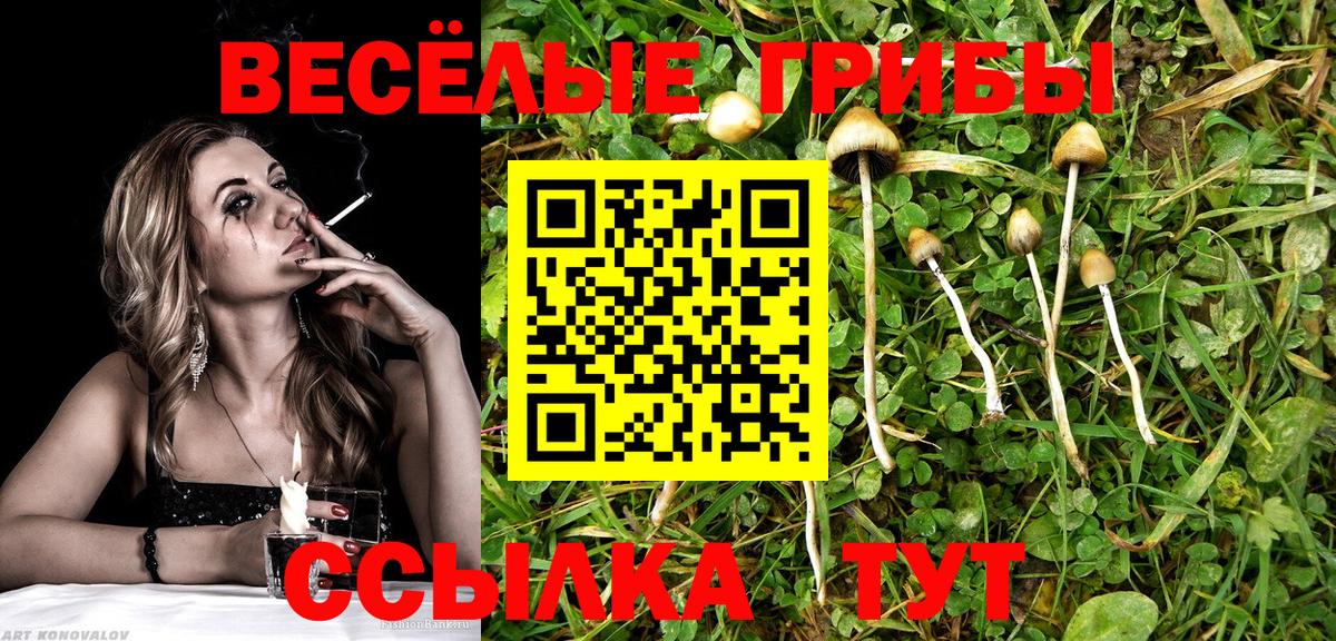 Урай  Галлюциногенные грибы Magic Shrooms  цены наркотик  Вход с VPN 