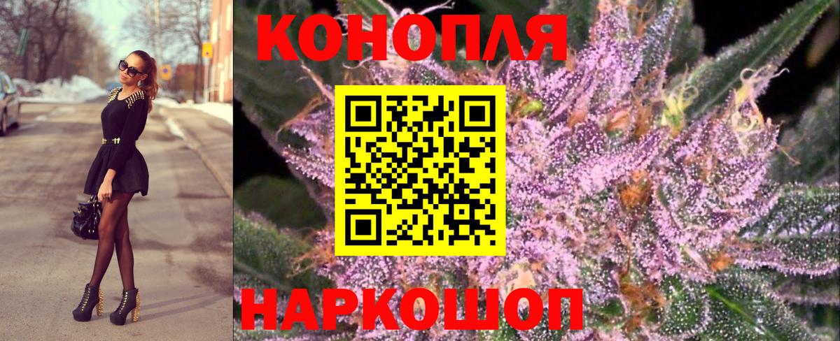 Бошки Шишки конопля Урай
